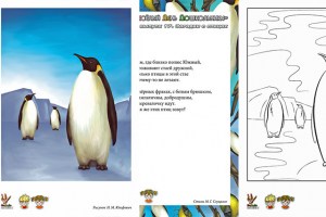 ВеДеДо - Загадки о птицах - Пингвины