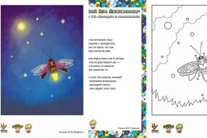 ВеДеДо - Загадки о насекомых - Светлячок